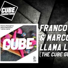 Llama Llama The Cube Guys - Franco Moiraghi