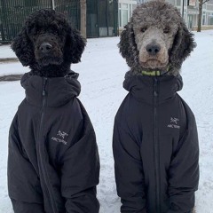 pull it out (prod. noirnat3)