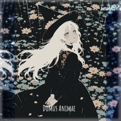 Domus Animae