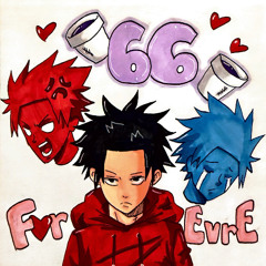 66