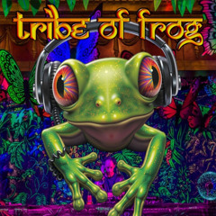 Tribe of Frog Dj Comp