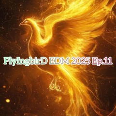 Teaser FlyIngbirD EDM 2025 Ep.11