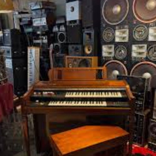 Cheesy Organs & Bass! (unplanned!!!!)