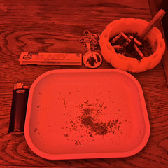 If I Ruled The World