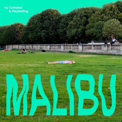 Malibu (feat. PlayfulDog)