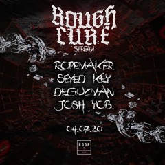 Rough Cure - Breaking The Chains