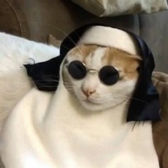 ENZO HALLOWEEN PLAYLIST By EEWH