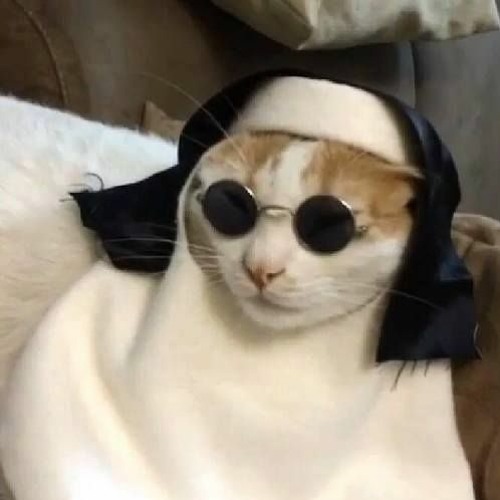 ENZO HALLOWEEN PLAYLIST By EEWH