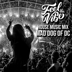 Feel The Vibe - House Music Mix
