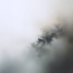 Aeralis