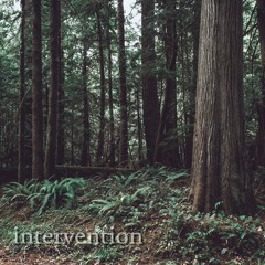 intervention (prod. saint mike)