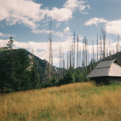 Hidden Behind Every Scene