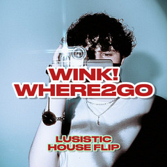WINK - WHERE2GO (Lusistic House Flip) [Extended Mix]