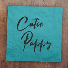 Cutie Puppy