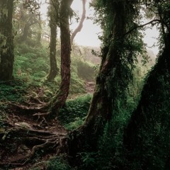 NeverEndingForestwalks mix