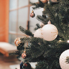 Hai Mùa Noel  Trác Thuý Miêu