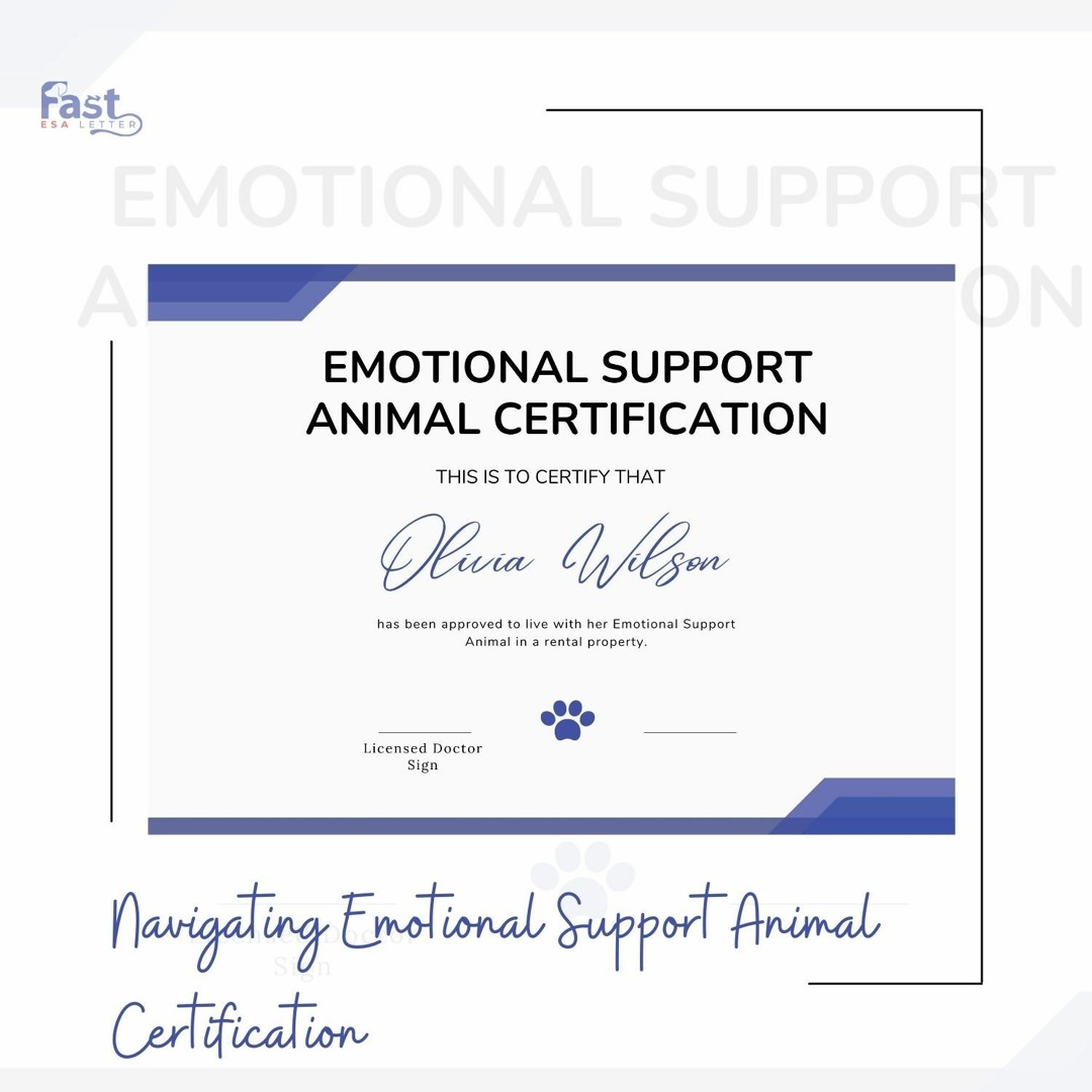 Stream episode Navigating Emotional Support Animal Certification by Jouicy lara podcast | Listen online for free on SoundCloud stream-episode-navigating-emotional-support-animal-certification-by-jouicy-lara-podcast-listen-online-for-free-on-soundcloud