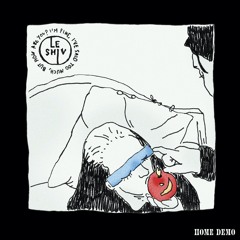 I'm Fine, I've Said Too Much, But How Are You? (If We Make It Home Tonight) - demo