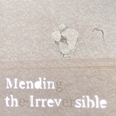 "Mending the Irreversible"