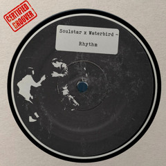 Soulstar x Waterbird - Rhythm [Free Download]