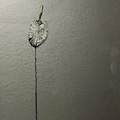 Sheets Out Of The Dryer [demo]