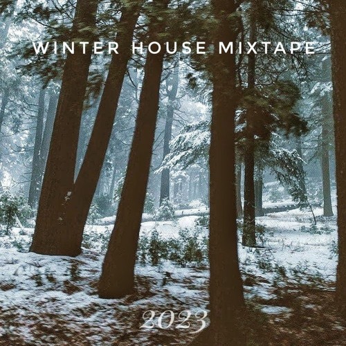 Winter House Mixtape 2023