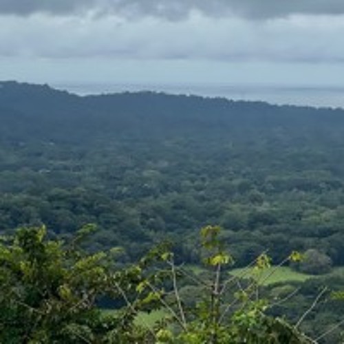 Justin Shaffer - [04] - Chai-Do Sunrise Costa Rica Nov 2022