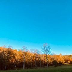 Love Y'all [monte booker beat]