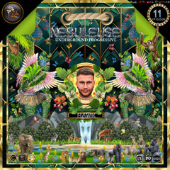 DJ RESIDENT: HAWK - NEBULEUSE EPISODE 11 - ENCYCLOPEDIA Radioshow hosted by LB & AR 2025