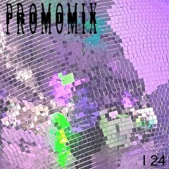 Promomix I 24
