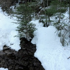 The thawing winter snow 23-12-29-001