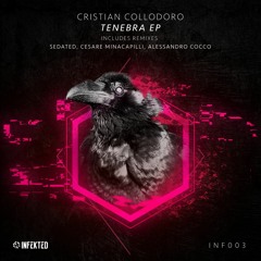 Cristian Collodoro - Acid Enigma (Cesare Minacapilli Remix) [Infekted]