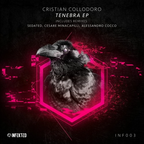 Cristian Collodoro - Acid Enigma (Cesare Minacapilli Remix) [Infekted]