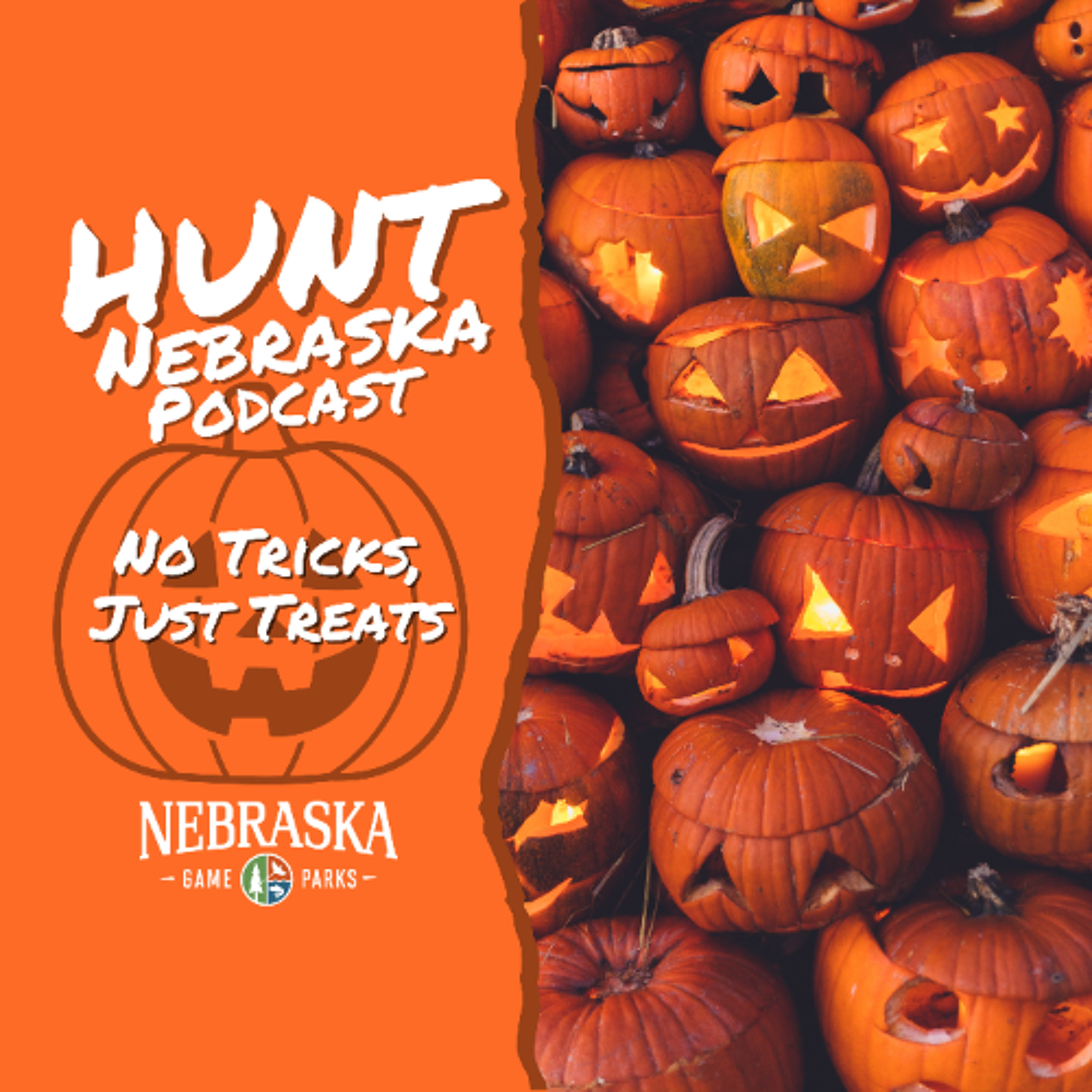 No Tricks, Just Treats