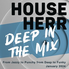Deep In The Mix - From Jazzy to Punchy - from Deep to Funky!