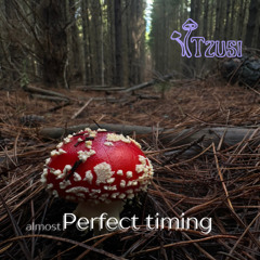 (almost) Perfect Timing v1.0