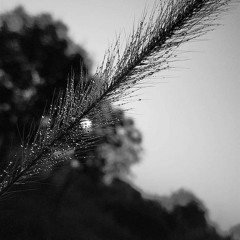 ericdoa - crisis actor (slowed down)