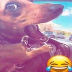 IMATEVOYATOCAR - lughwap! X aguspro