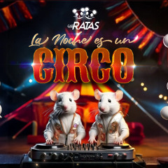 La Noche Es Un Circo 🎪🤹‍♂️