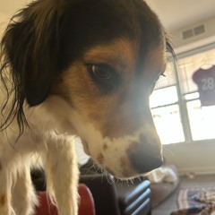 kendrick 2 prod bullseye