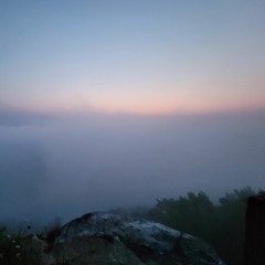 If not Jesus, none can rest (2021 Summer)