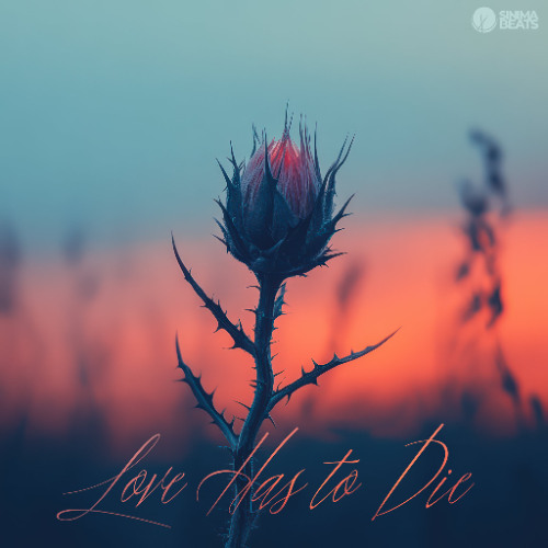 *New* Love Has to Die with Vox