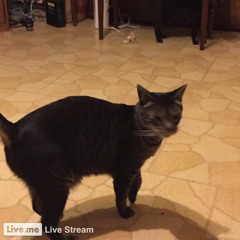 Take Lord, Receive (Live From Rehearsal)