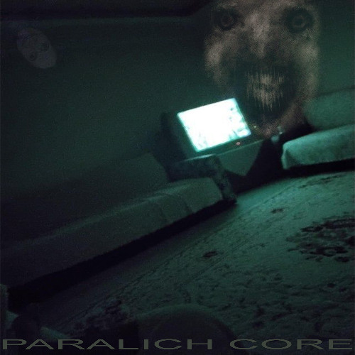 PARALICH CORE