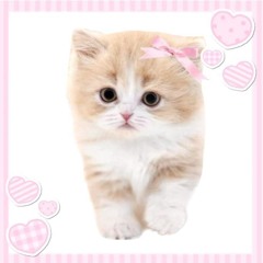 ( ´∀｀ )b