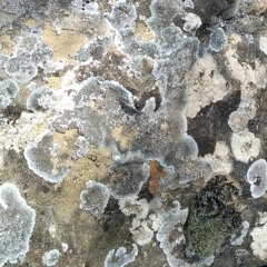 Souffle De Mer   6'06