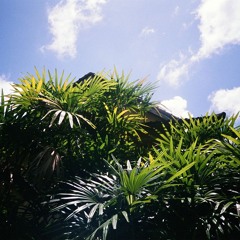 SOPHIA ZHURAVKOVA 061024