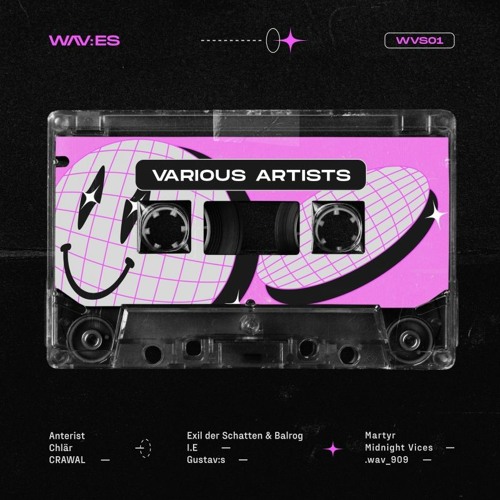 Various – Various Artists [WVS01 | Full Tracks]