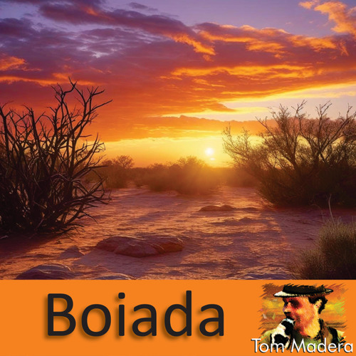 Boiada