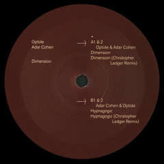 B2 Optide & Adar Cohen - Hypnagogic (Christopher Ledger Remix)